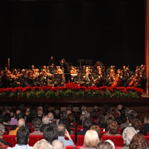 Concerto di Capodanno: L'orchestra sul palco