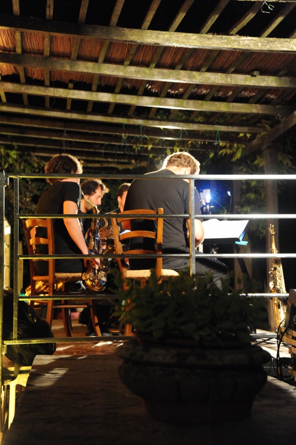 Musica in Castello - Antiche Saline di Salsominore: Anno 2013 - Esibizione musicale