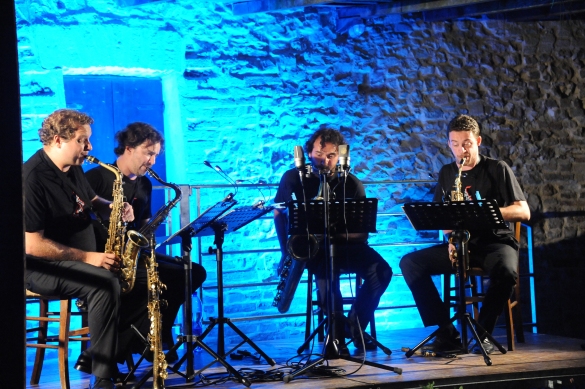 Musica in Castello - Antiche Saline di Salsominore: Anno 2013 - Lo spettacolo musicale