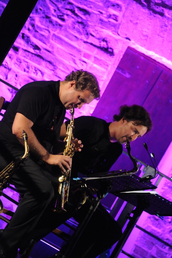 Musica in Castello - - Antiche Saline di Salsominore: Anno 2013 - I musicisti