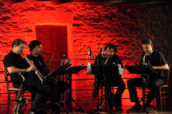Musica in Castello - Antiche Saline di Salsominore: Anno 2013 - I musicisti