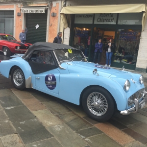 Gran Premio Terre di Canossa