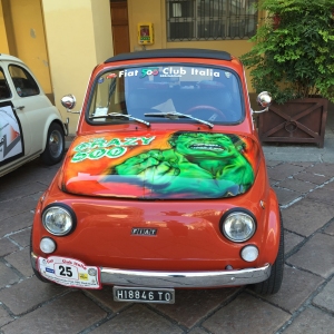 Salsomotormeeting: Anno 2015 - Auto FIAT 500  in esposizione