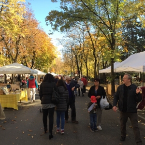 Festa del Ringraziamento: Bancarelle