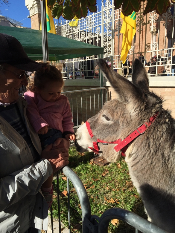 Festa del Ringraziamento: Anno 2015 - La festa rionale