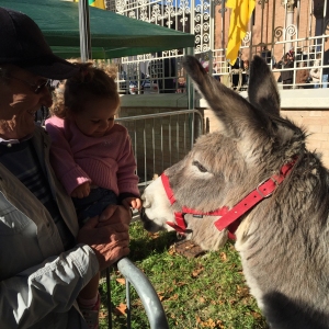 Festa del Ringraziamento