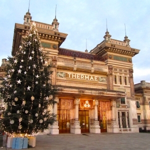 Natale 2011 - Piazza Berzieri: Piazza Berzieri e il suo albero di Natale