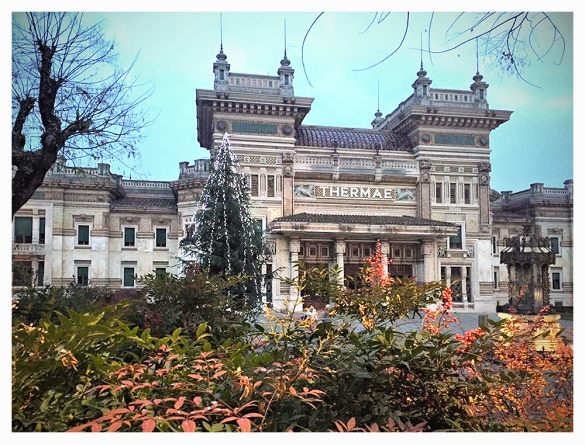 Natale 2015 - Piazza Berzieri : Piazza Berzieri e il suo albero di Natale