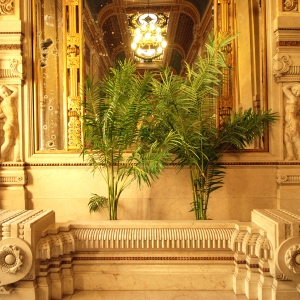 Berzieri Interno