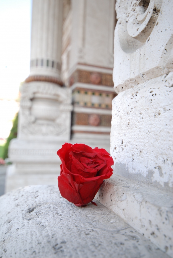 Terme Lorenzo Berzieri: Foto artistica
