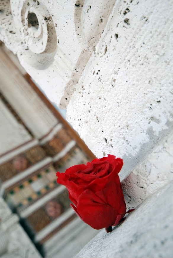 Terme Lorenzo Berzieri : Foto artistica