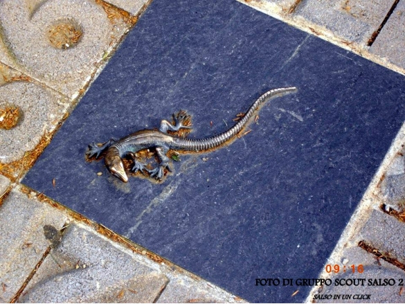 Piazza Lorenzo Berzieri: Particolare della pavimentazione. Al centro del poetario artistico, una salamandra in bronzo simbolo della Città