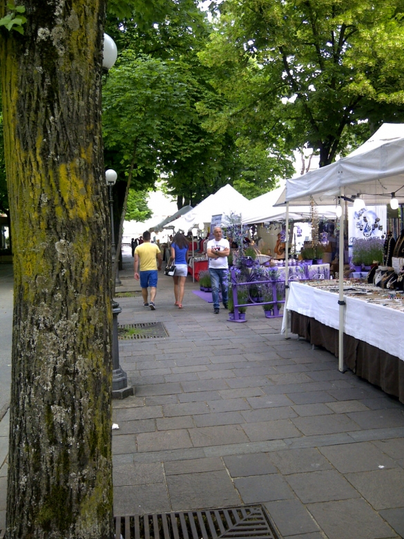 Mercatino Artistico: 