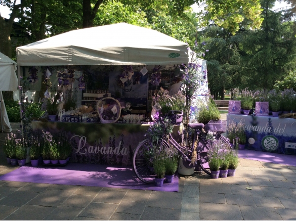 Mercatino - Bancarella tematica: 