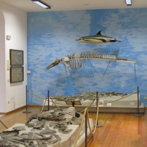 museo_(3)
