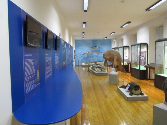 Museo Paleontologico: Sala 2, 