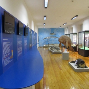 museo_(2)