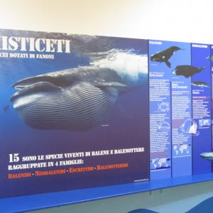 museo_(5)