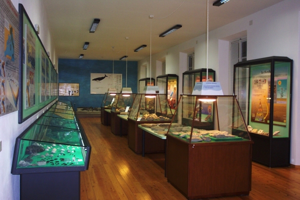 Museo Paleontologico: Sala tematica 1,  