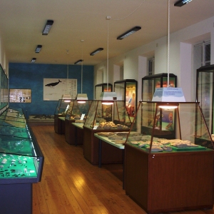 museo
