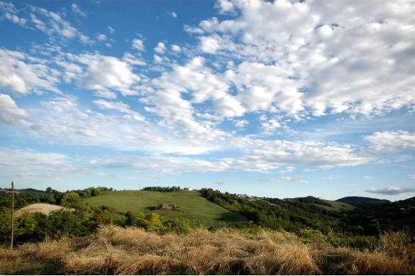 Natura e Ambiente: Paesaggio collinare