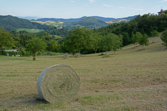 Natura e Ambiente: La campagna
