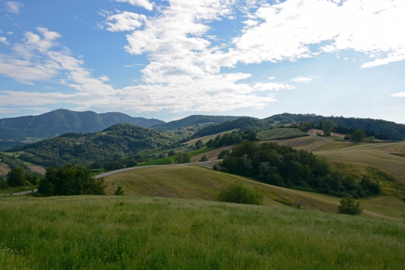 Natura e Ambiente: Paessaggio collinare