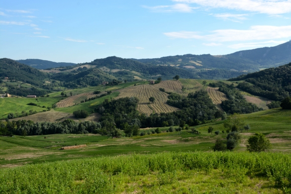Natura e Ambiente: Paesaggio collinare
