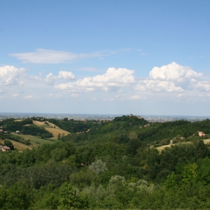 pict0051