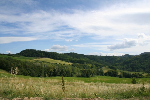 Natura e Ambiente: Le colline 