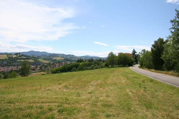 Natura e Ambiente: Le colline