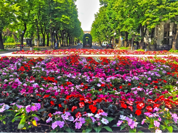 Viale Berenini: Aiuola fiorita