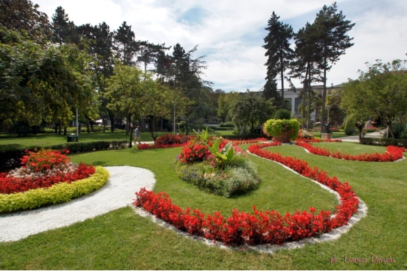 Parco Corazza: Aiuola fiorita