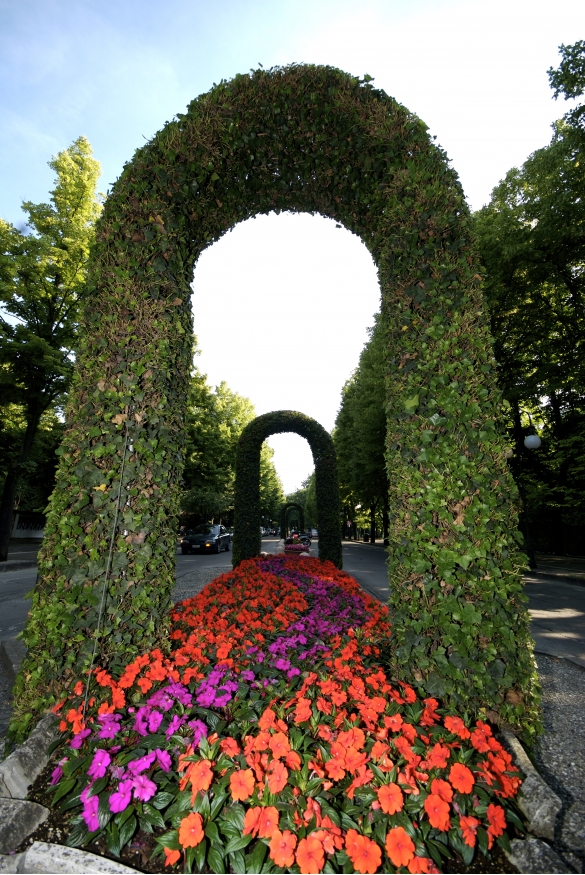 Viale Berenini: Aiuola fiorita