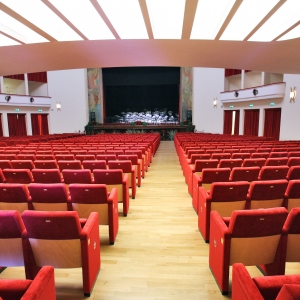 Teatro Nuovo: La platea