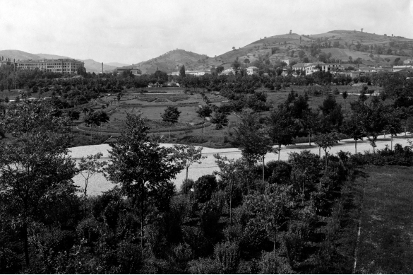 parco Mazzini: Panoramica