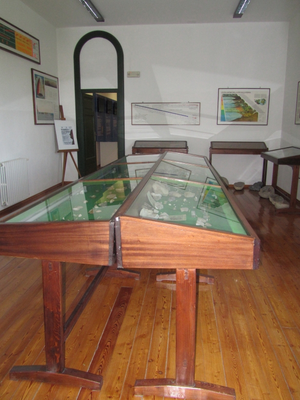 Museo Paleontologico: Sala Quarantelli 