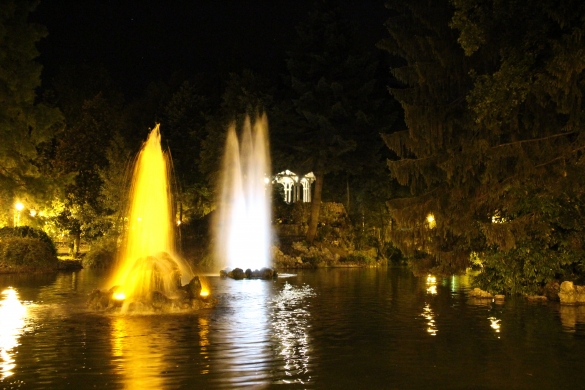 Parco Mazzini: Il laghetto by night