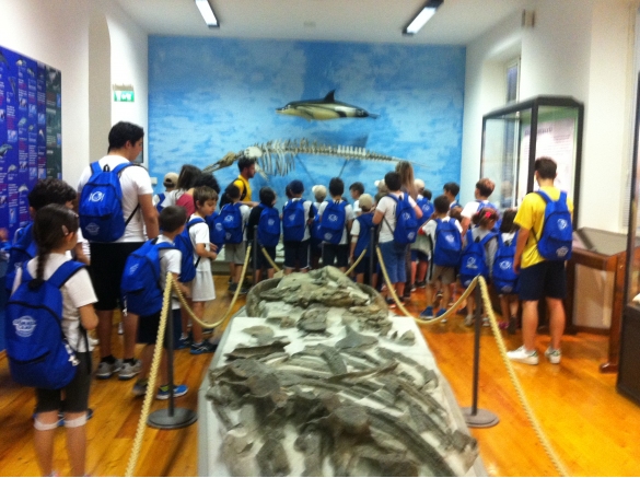 Museo Paleontologico : Visita didattica al museo