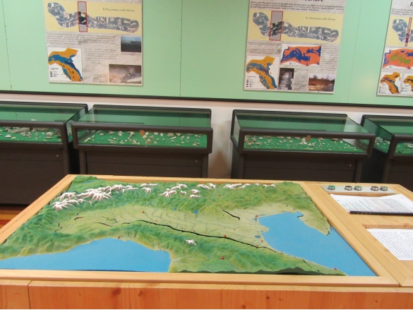 Museo Paleontologico : Sala 1, il plastico 