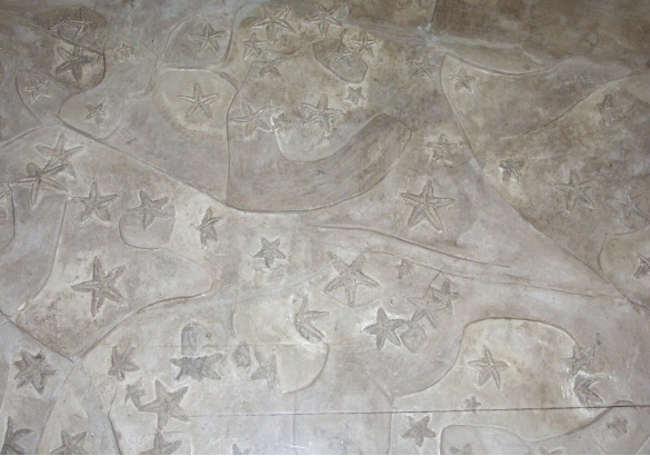 Museo Paleontologico : Blocco fossilifero contenente Astropecten irregolaris (Stelle marine)