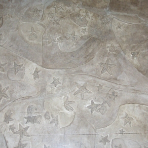 fig._2_blocco_astropecten_irregolaris