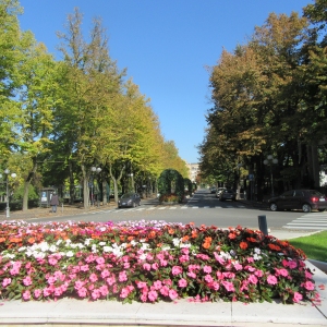 Piazza del Popolo