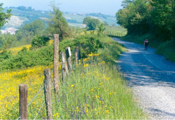 Tabiano: Le dolci colline