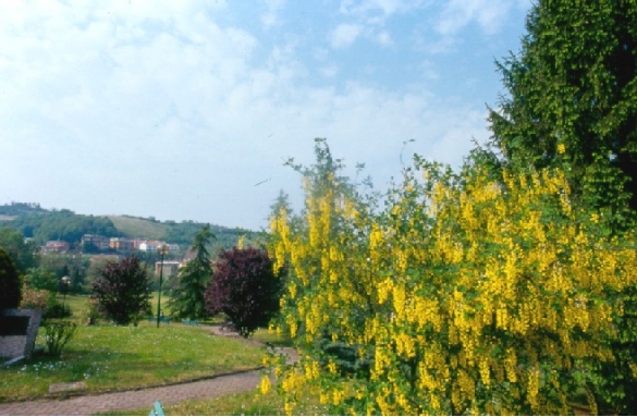 Tabiano: Parco Porcellini