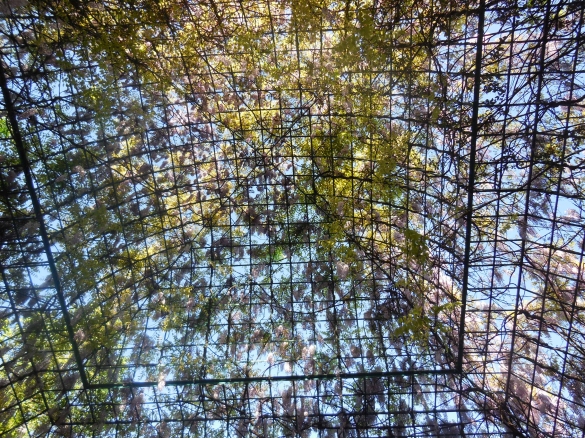 Salsomaggiore Terme: Il Gazebo in fiore