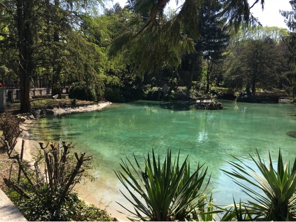 Parco Mazzini: Il laghetto