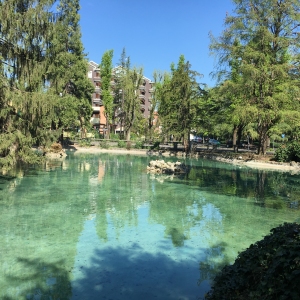 Parco Mazzini: Il laghetto