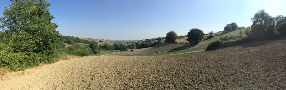Paesaggio Collinare: 