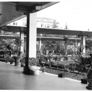 Stazione della Ferrovia - Collezione Biblioteca Comunale G. D. Romagnosi